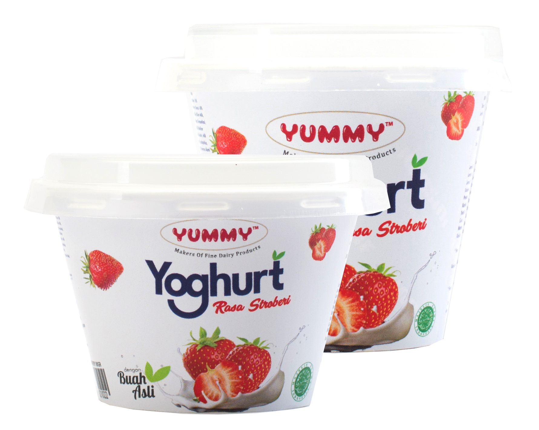 Yogurt en ingles
